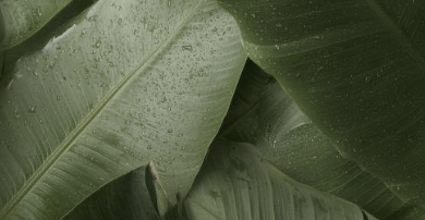 Zašto su mali rituali i vreme za sebe ključ dobrog zdravlja i blistave kože